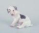 Bing & Grøndahl, porcelain figurine of a Sealyham Terrier puppy.Model number ...