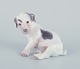 Bing & 
Grøndahl, 
porcelain 
figurine of a 
Sealyham 
Terrier puppy.
Model number 
...