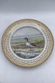 Royal Copenhagen Flora Danica Bird Dinner Plate No 240/3549.