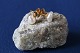 Beautiful studs 
in 14 carat 
gold, with 
pearls. The 
studs are 
discreet but 
still elegant 
to wear. ...