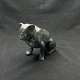 Height 12 cm.Length 15 cm.Very detailed figure of bulldog in black painted ...