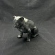 Height 12 cm.
Length 15 cm.
Very detailed 
figure of 
bulldog in 
black painted 
...