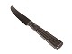 Champagne 
silver, small 
travel knife.
Designed by 
Jens Harald 
Quistgaard and 
made at ...
