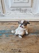 Dahl Jensen figurine - Pekingese puppy No. 1134, Factory first Height 7.5 cm.
