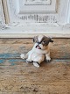 Dahl Jensen 
figurine - 
Pekingese puppy 

No. 1134, 
Factory first 
Height 7.5 cm.