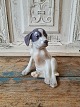 Royal 
Copenhagen 
figure - 
Pointer puppy 
No. 206, 
Factory second
Height 13 cm.