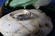 Beautiful gold 
ring with 5 
clear stones in 
14 carat gold. 
The gold ring 
has a nice 
structure ...
