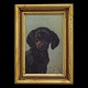 Simon Simonsen, 1841-1928, oil on plateDachshund. Signed and dated 1893Visible size: ...