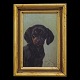 Simon Simonsen, 
1841-1928, oil 
on plate
Dachshund. 
Signed and 
dated 1893
Visible size: 
...