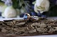 Beautiful 
ladies' ring in 
14 carat gold, 
with blue 
stones. The 
ring is stamped 
585 HS. The 
blue ...