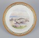Royal Copenhagen Fauna Danica dinner plate with a motif of a spotted seal on the 
beach. Hand-painted by H. Larsen.