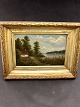 Landscape painting oil on canvas 40 x 31 cm. 19.c. item no 557529.