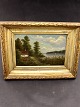 Landscape 
painting oil on 
canvas 40 x 31 
cm. 19.c. item 
no 557529.