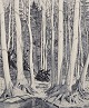 Eva Holmén-Edling (1942), Swedish artist. Woodcut on Japan paper. Forest scene.Signed in ...