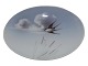 click to zoom