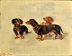 Raufer, G. (19th century) Three dachshunds. Oil on wooden panel. Signed. 21 x 28 cm.Framed: 44 ...