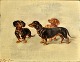 Raufer, G. 
(19th century) 
Three 
dachshunds. Oil 
on wooden 
panel. Signed. 
21 x 28 cm.
Framed: 44 ...