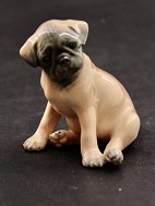 Royal Copenhagen boxer puppy 3169