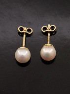 14 carat gold earrings with pearl