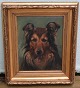 Dog Painting: 
Border Collie 
Signed "BOB" 
Simon Simonsen 
1910  26 Oild 
on canvas 49 x 
41 cm With ...