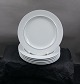 Blaukant dänisch Fayence Geschirr von Alumina. Set 

von 6  Lunchtellern 21cm