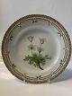 Royal 
Copenhagen 
Flora Danica, 
Lunch plate
Decoration 
number 20/3550
Produced in 
Year ...