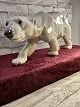 Walking Large 
polar bear.
Bing and 
Grondahl B&G 
no. 1785
1. sorting.
Height: 14 cm. 
Length 30 ...