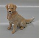 0039 RC Golden Retriever 13 cm (1244039) Pia Langelund Royal Copenhagen dog 
figurine