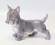 Dahl Jensen dog 1066 Scottish Terrier standing