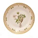 Royal 
Copenhagen 
Flora Danica 
plate 3550
"Dryas 
octopetala L."
D: 22cm