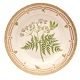Royal 
Copenhagen 
Flora Danica 
plate 3549
"Myrrhis 
adorata Scop."
1. quality
D: 25,5cm