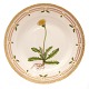 Royal 
Copenhagen 
Flora Danica 
plate 3549
"Leontodon 
hispidum L."
1. quality
D: 25,5cm