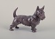 Bing & 
Grøndahl, 
porcelain 
figurine of a 
Scottish 
Terrier.
Model number 
2117.
Approximately 
...