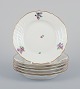 Royal Copenhagen Saxon Flower. Six porcelain plates. Hand-painted with 
polychrome flowers. Gold rim.