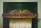 Predrag Stojanovic, Serbian artist.
Oil on canvas.