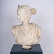 Diana bust, goddess of wild animals and the hunt Diana bust, goddess of wild animals and the hunt