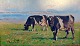 Bundgaard, 
Gunnar (1920 - 
2005) Denmark: 
Cows at 
Mariager Fjord. 
Oil on canvas. 
Signed. 41 x 70 
...