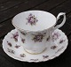 Sweet Violets English bone China porcelain. Settings tea cups of 2 items