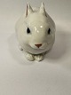 Royal 
Copenhagen 
figurines, 
white Rabbit