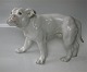 B&G figur 1605 Bulldog DJ 24 cm