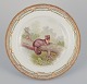 Royal Copenhagen Fauna Danica, dinner plate featuring a motif of a pine marten.