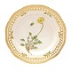 Flora Danica 
plate 3554
"Papaver 
rudicaule L."
1. quality
D: 22,5cm