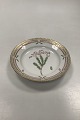 Royal 
Copenhagen 
FloPolygala 
amarum Lra 
Danica Salad 
Plate No 20 / 
3573
Latin name: 
Phyllodoce ...