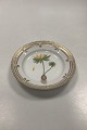 Royal 
Copenhagen 
FloPolygala 
amarum Lra 
Danica Salad 
Plate No 20 / 
3573
Latin name: 
Helleborus ...