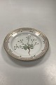 Royal 
Copenhagen 
FloPolygala 
amarum Lra 
Danica Salad 
Plate No 20 / 
3573
Latin name: 
Alyssum ...