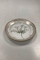 Royal 
Copenhagen 
FloPolygala 
amarum Lra 
Danica Salad 
Plate No 20 / 
3573
Latin name: 
Alyssum ...
