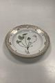 Royal 
Copenhagen 
Flora Danica 
Salad Plate No 
20/3573
Latin name: 
Oxalis 
acetosella var 
coerudea ...