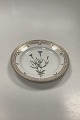 Royal 
Copenhagen 
FloPolygala 
amarum Lra 
Danica Salad 
Plate No 20 / 
3573
Latin name: 
Gentiana ...