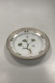 Royal Copenhagen Flora Danica Salad Plate No 20 / 3573