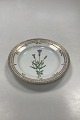 Royal 
Copenhagen 
Flora Danica 
Salad Plate No 
20 / 3573
Latin name: 
Gentiana 
corolla ...